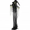 Haunted Hill Farm Life-Size Animatronic Witch, Indoor/Outdoor Halloween Decoration, Light-Up White Eyes, HHWITCH-16FLSA