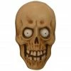 Haunted Hill Farm 2 ft. Animated Mummy Head Halloween Decoration, Indoor/Covered Outdoor, HHDHSKULL-1LS