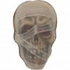 Haunted Hill Farm 2 ft. Animated Gauze Covered Mummy Head Halloween Decoration, Indoor/Covered Outdoor, HHDHSKULL-2LS