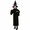 Haunted Hill Farm 3.6 ft. Animatronic Floating Witch, Indoor/Outdoor Halloween Decoration, Blue LED Eyes