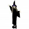 Haunted Hill Farm 3 ft. Animatronic Floating Witch, Indoor/Outdoor Halloween Decoration, Blue LED Eyes, Poseable, HHMNWTC-6HLSA