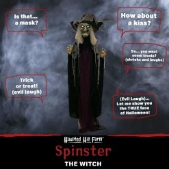 Haunted Hill Farm 6.9 ft. Standing Witch, Indoor/Outdoor Halloween Decoration, LED Red Eyes, Poseable, Spinster, HHWITCH-27FLSA