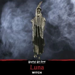 Haunted Hill Farm 5.2 ft. Hanging Witch with Button Eyes, Indoor/Outdoor Halloween Decoration, Poseable, Luna, HHWITCH-35H