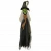 Haunted Hill Farm 2.5 ft. Staked Witch, Indoor/Outdoor Halloween Decoration, LED Red Eyes, HHWTC-2STLS